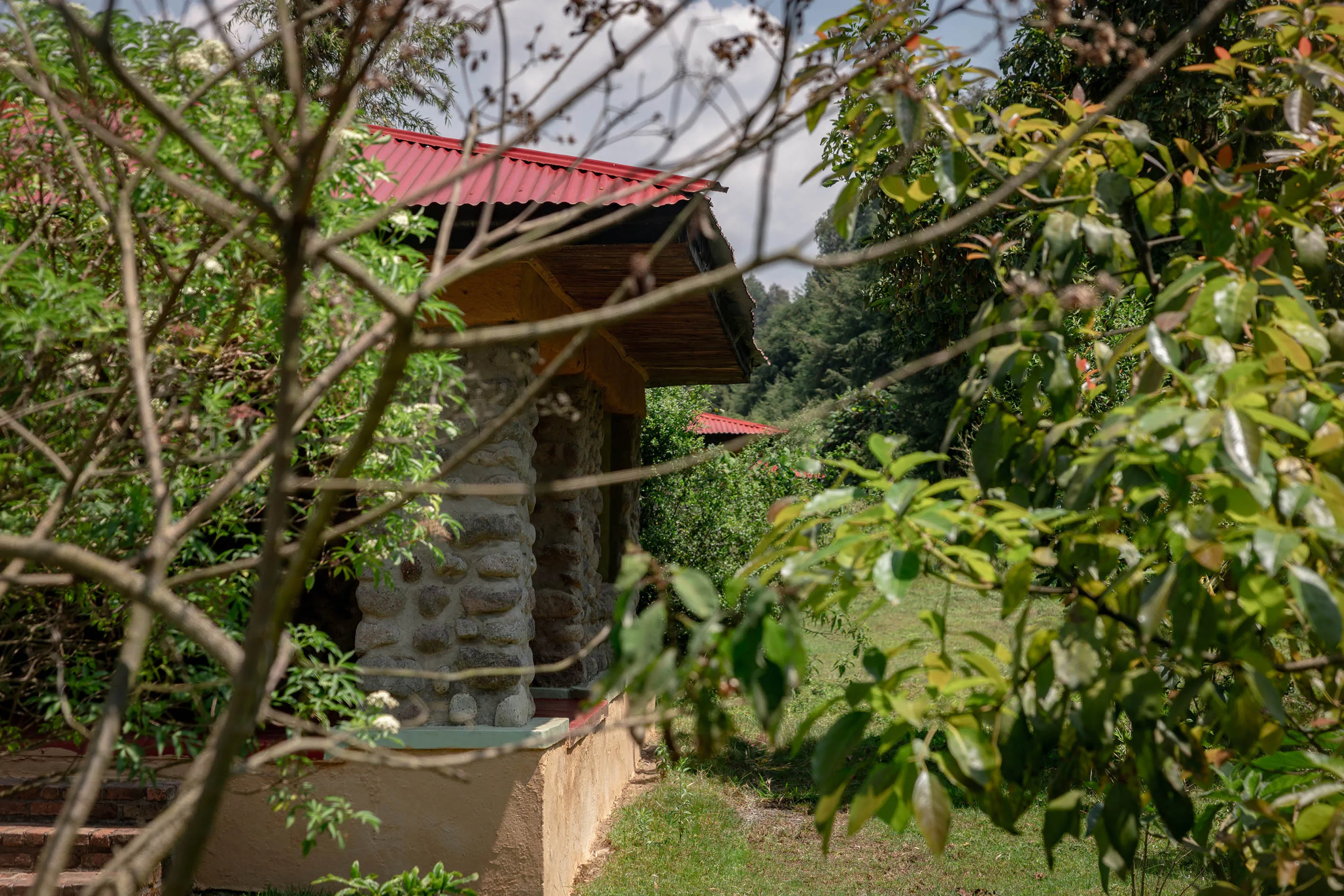 Mountain Gorilla View Lodge